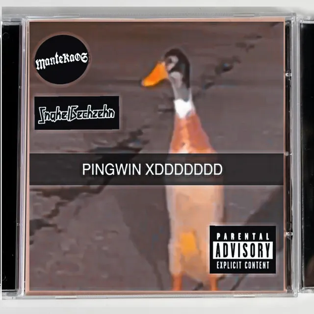 PINGWIN XDDDDDDD