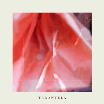 Tarantela by Mercedes Nasta