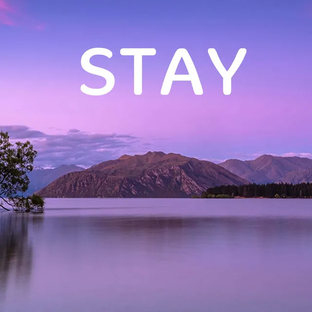 Stay