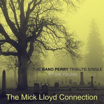 The Band Perry Tribute Single - If I Die Young by The Mick Lloyd Connection