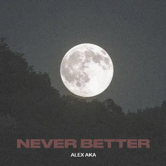 Never Better by Alex Aka