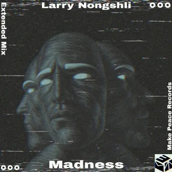 Madness (Extended Mix) by Larry Nongshli