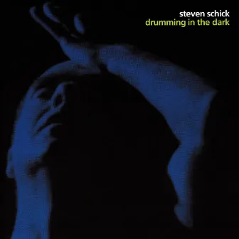 drumming in the dark by Steven Schick