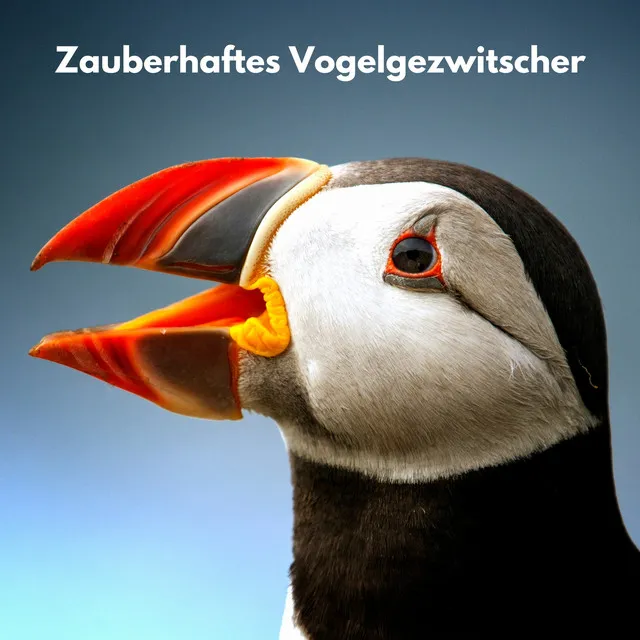 Zauberhaftes Vogelgezwitscher