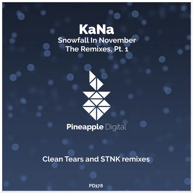 Snowfall in November - STNK Remix