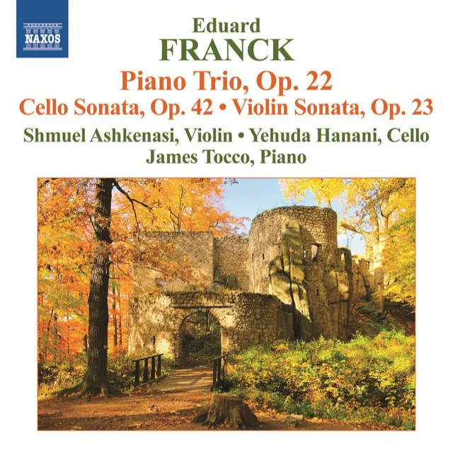 Piano Trio No. 2 in E-Flat Major, Op. 22: III. Andante con moto