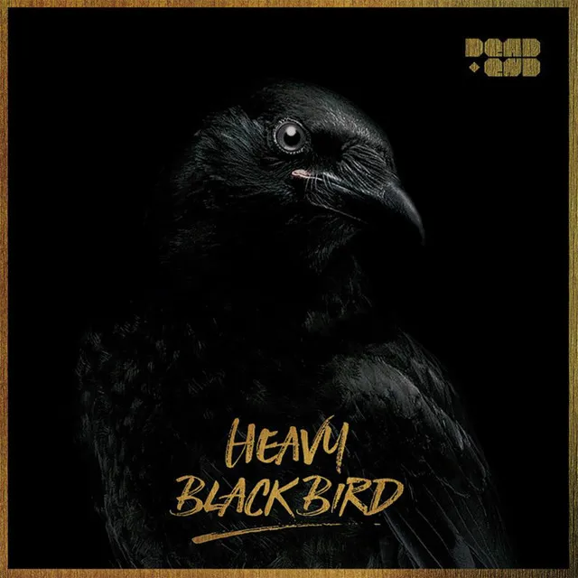 Heavy Black Bird