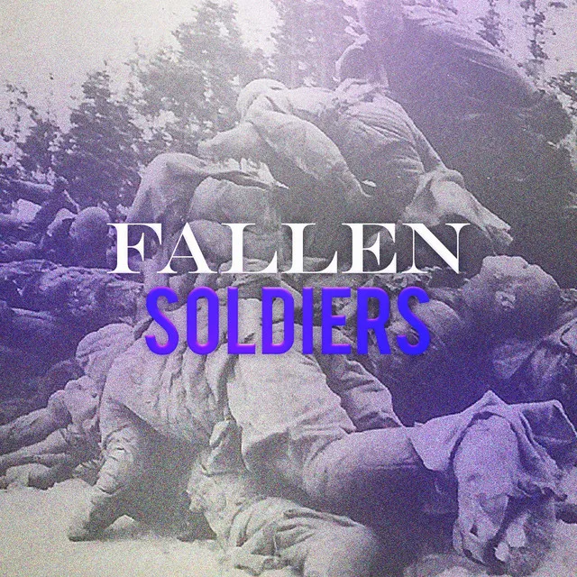 Fallen Soldiers