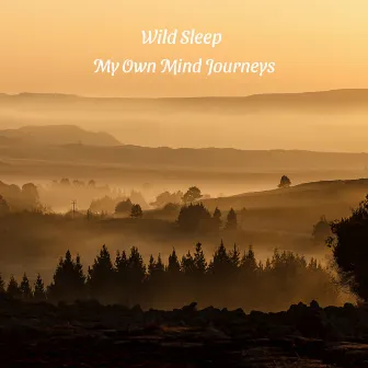 My Own Mind Journeys by Wildsleep