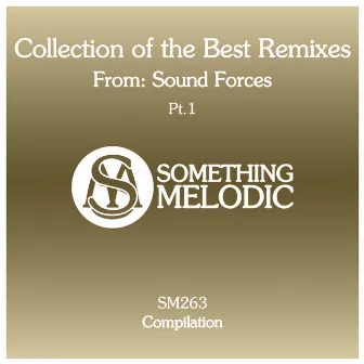 Collection of the Best Remixes From: Sound Forces, Pt. 1 by Sound Forces