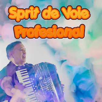 Sprit De Voie by Profesional