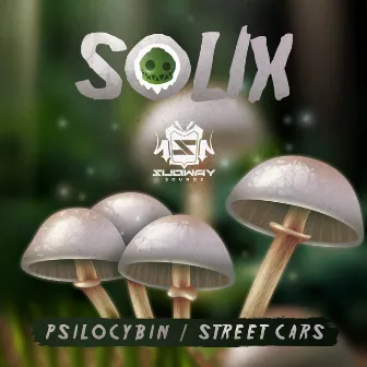 Psilocybin / Street Cars by Solix