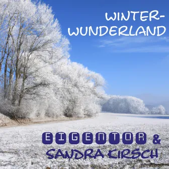 Winterwunderland by Eigentor