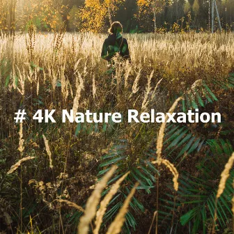 # 4K Nature Relaxation by Essential Nature Sounds