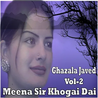 Meena Sir Khogai Dai, Vol. 2 by Ghazala Javed