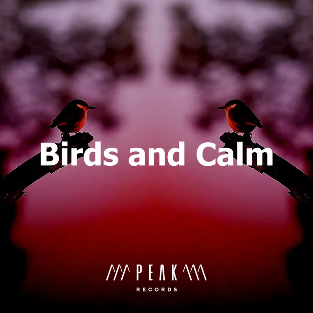 Birds and Calm