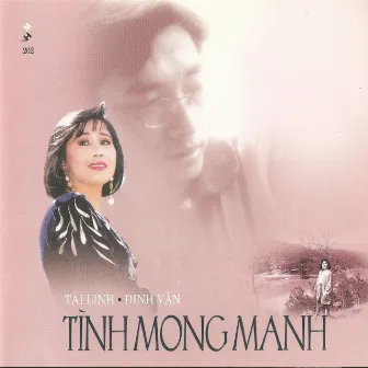 Tài Linh - Đình Văn - Tình mong manh by Mộng Na