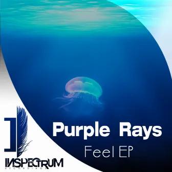 Feel EP by Purple Rays