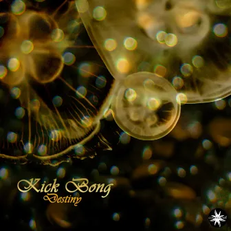 Destiny by Kick Bong