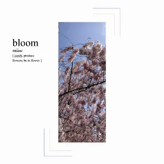 bloom by etheri