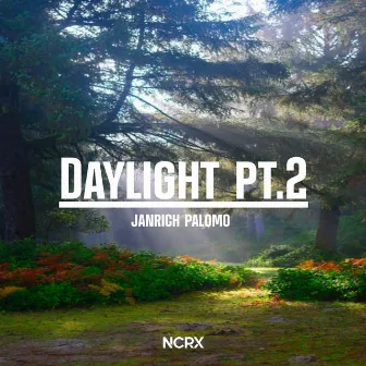 Daylight, Pt. 2 by Janrich Palomo