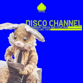 Various Tracks and Counting, Vol. 2 by Disco Channel