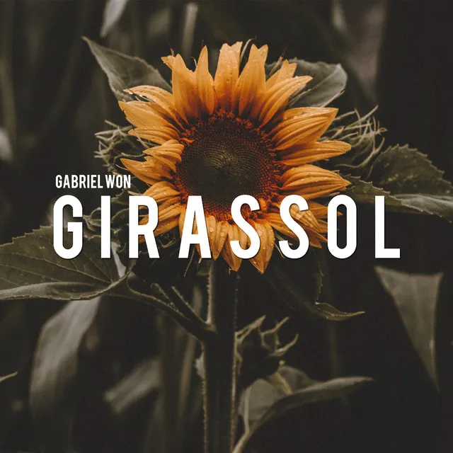 Girassol - Cover