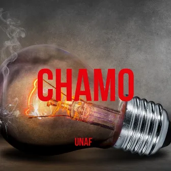 Chamo by Unaf