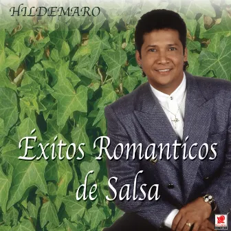 Éxitos Románticos De Salsa by Hildemaro