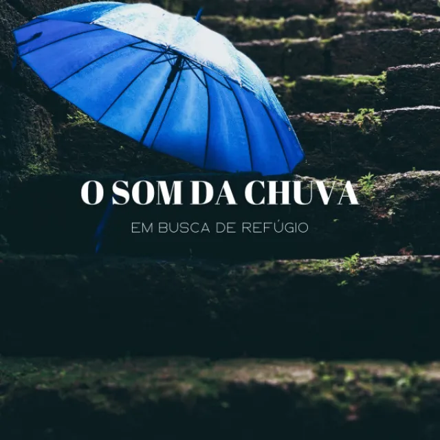 O Som Da Chuva: Em Busca De Refúgio