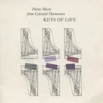 Piano Music - Fricke, F. / Otte, H. / Hamel, P.M. / Gurdjieff, G.I. / Hartmann, T. De / Scriabin, A. / Riley, T. (Keys of Life) by Peter Michael Hamel