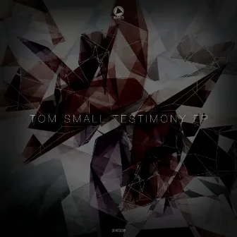 Testimony EP by Tom Small