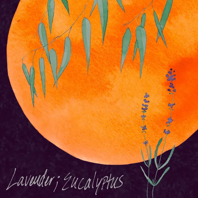 Lavender (Eucalyptus)