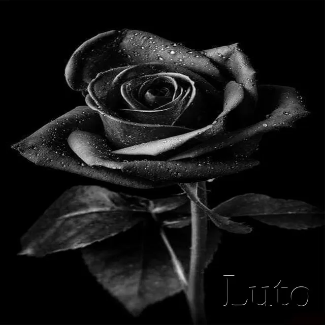 LUTO