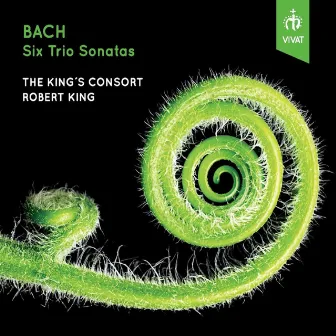 Bach: Six Trio Sonatas (arr Robert King) by Eligio Quinteiro