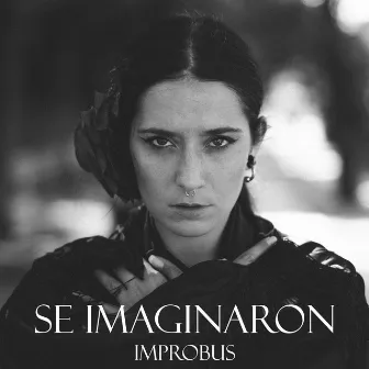 Se Imaginaron by Improbus