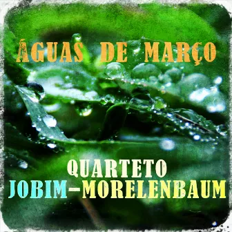 Águas de Março by Quarteto Jobim-Morelenbaum