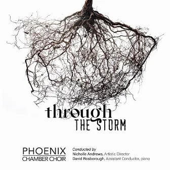 Through The Storm by Phoenix Chamber Choir