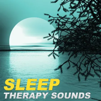 Sleep Therapy Sounds – Most Beautiful Soothing Sounds for a Dream by Long Sleep Experts