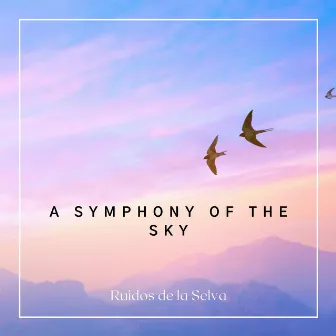 A Symphony of the Sky by Ruidos de la Selva