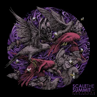 Subjects (Instrumentals) by Scale The Summit