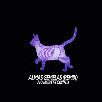 Almas gemelas (Remix) by Omyr Diamante