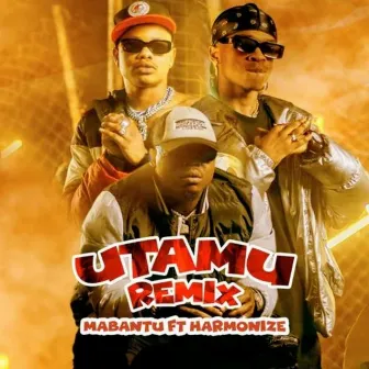 Utamu (Remix) by MABANTU