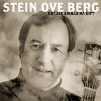 Det Jeg Skulle Ha Gitt by Stein Ove Berg