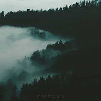 Cold Nights in Seattle by Freeman