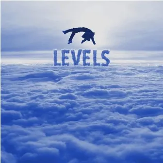 Levels by Fameous Kash