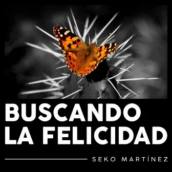 Buscando la Felicidad by Seko Martínez