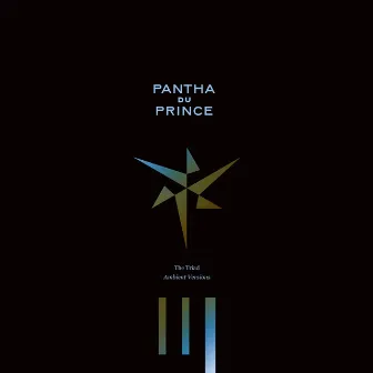 The Triad - Ambient Versions by Pantha Du Prince