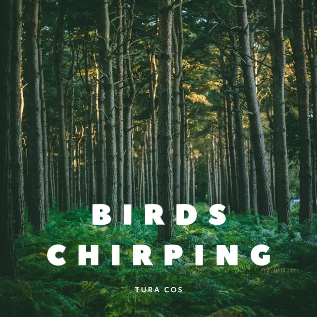 Birds Chirping