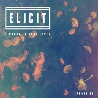 I Wanna Be Your Lover (Remixes) by Elicit